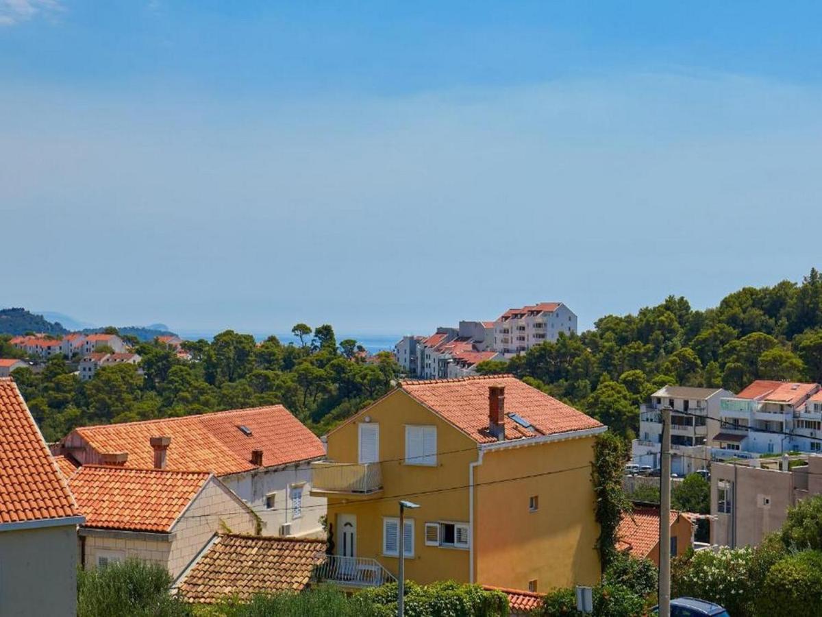 Palm Tree Apartments Dubrownik Zewnętrze zdjęcie